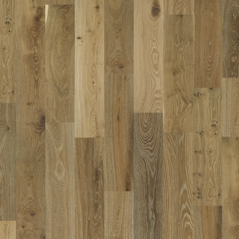 Shaw Floors Expressions Artistry