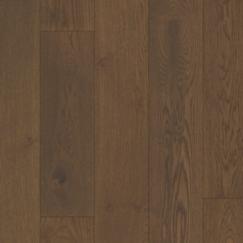 Shaw Floors Expressions Muse