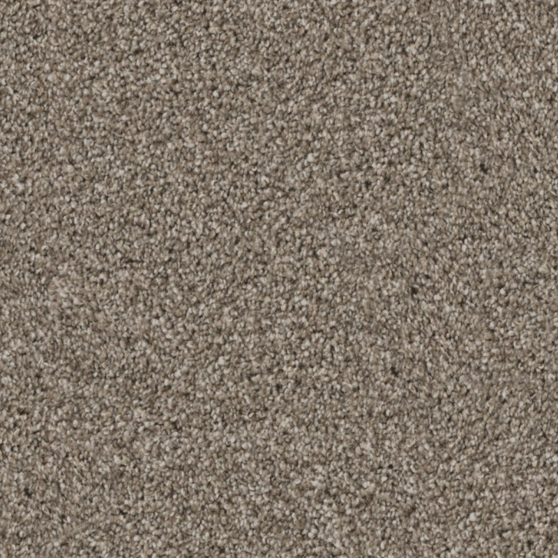 Plush And Textured Cut Pile
