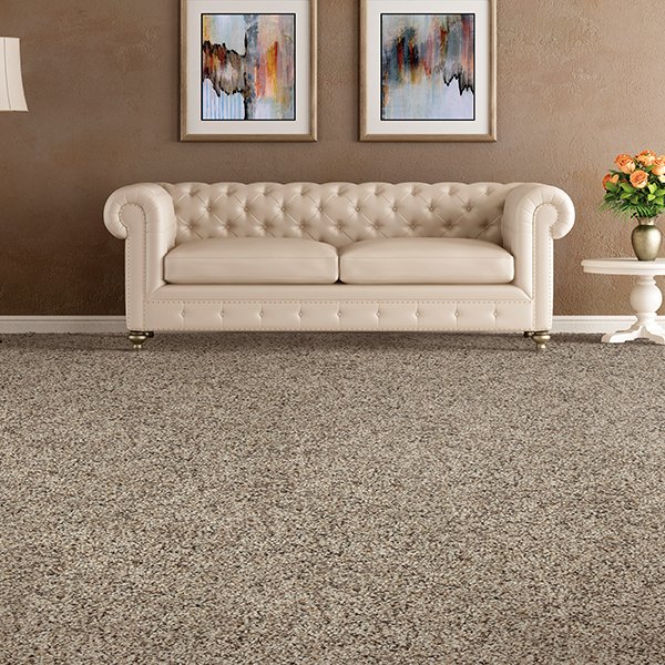 Carpet 101