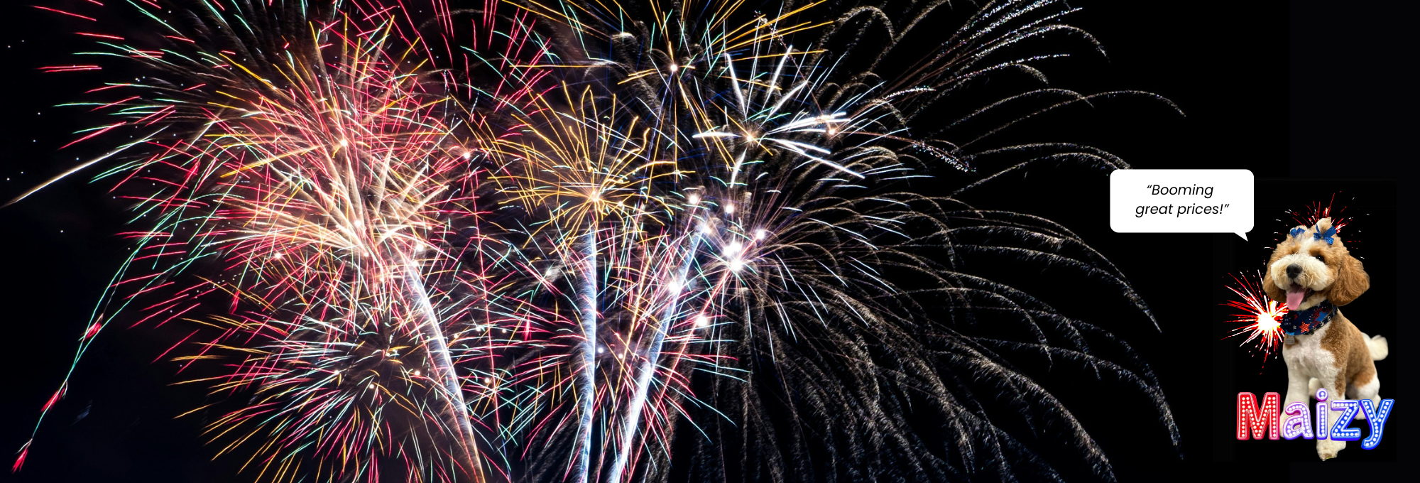 Fireworks and office dog Maisy promoting flooring sale