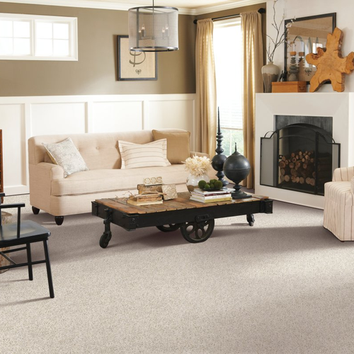 Clayton Flooring Center providing easy stain-resistant pet friendly carpet in Clayton, NC area - Restful Style-Catalina