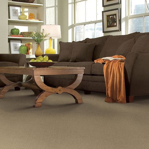 When To Choose Carpet vs. Hardwood Flooring